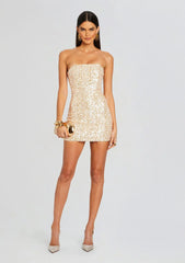 Heather Sequin Dress